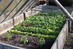 naar de moestuin De Moestuin