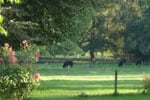 au parc au parc