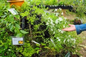 Fête du jardin Hex Juin 2019