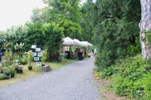 Garden festival Hex June 2019