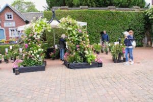 Garden festival Hex June 2019