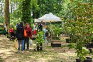 Fête du jardin Hex Juin 2019