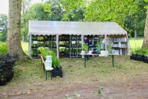 Garden festival Hex June 2019